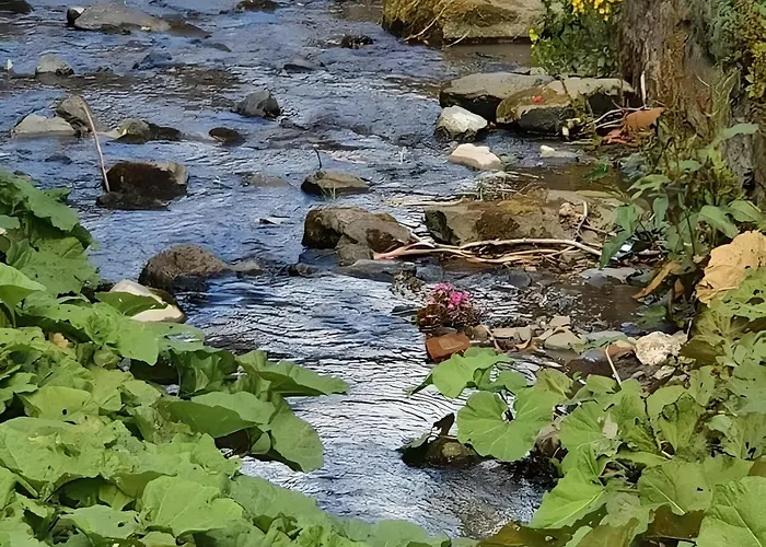 Vakantiewoning Paula Sauerland Schmallenberg